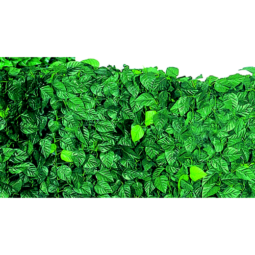 Immergrüne Arella Laurel aus Polypropylen 2000x100 cm künstliche Hecke für den Garten im Freien