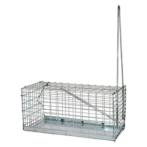Cage trap for mice large type cm.14x30xh14 in galvanized iron
