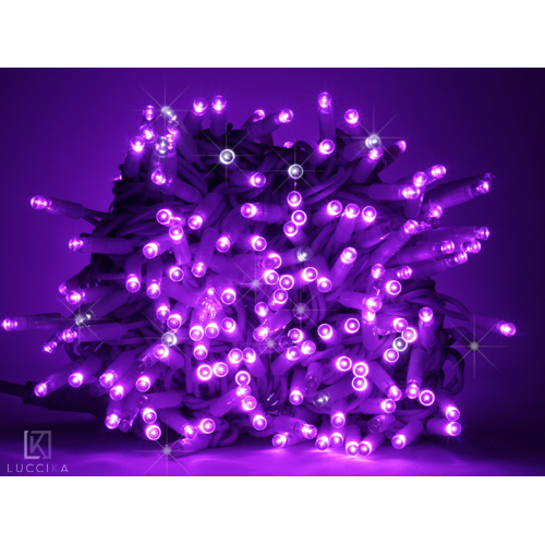 Cadena de hilo 10 metros serie 100 luces navideñas en Maxi Purple Led con Ice White Flash sin caja para uso en exteriores e interiores