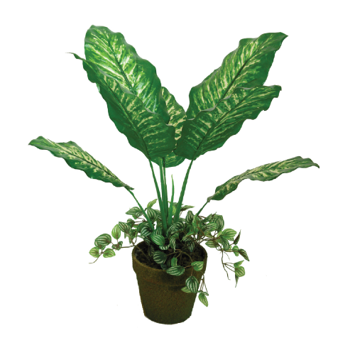Planta artificial dieffenbachia mod. A092KM altura 55 cm decoración del hogar plantas falsas