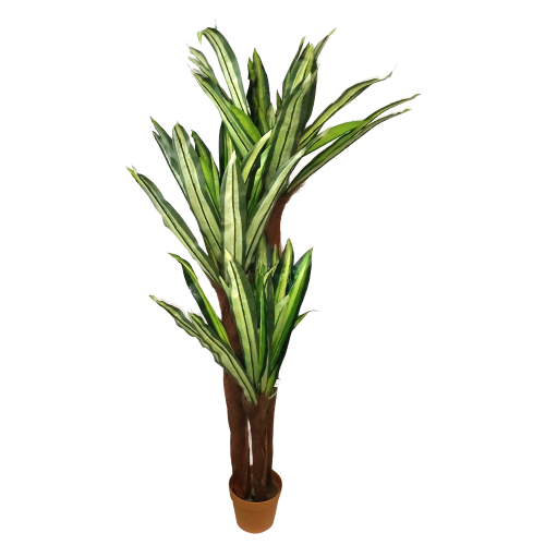 Planta artificial Dracaena altura 150 cm con jarrón decoración del hogar plantas falsas