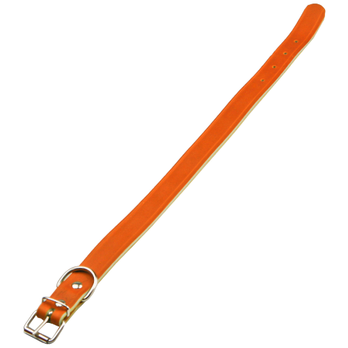Eurocuoio Halsband für Hunde aus chromgegerbtem Büffelleder 25x510 mm orange mit Metallschnalle
