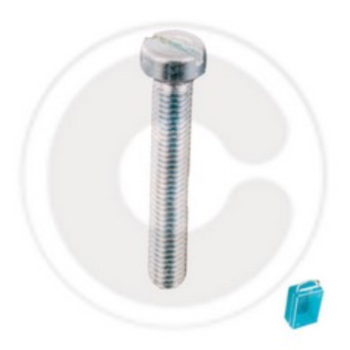 10 cylindrical head metal screws? 5x60 mm screw with zinc-plated steel nuts