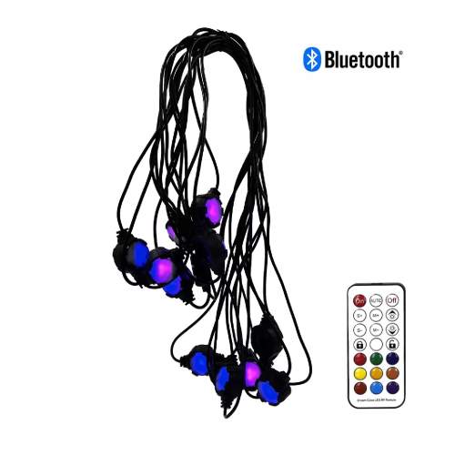Chaîne lumineuse LED décorative Wisdom 16 lumières Multicolore RGBW Bluetooth avec télécommande IP67 avec piquets et supports inclus