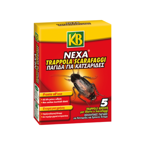 KB nexa appât piège adhésif pour cafards 5 pcs. idéal pour l'intérieur et l'extérieur