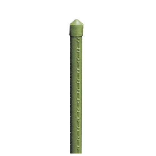 Stützstrebe aus plastifiziertem Bambusrohr für Gartenpflanzen, Ø 18–20 mm, 1,80 m, Gemüse