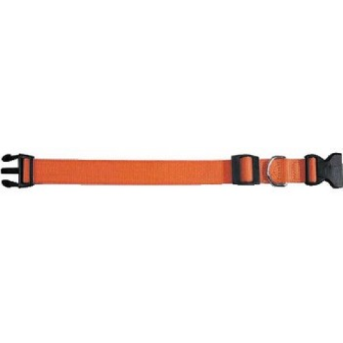 dog collar for dogs Club orange adjustable 30-44 cm nylon animal items