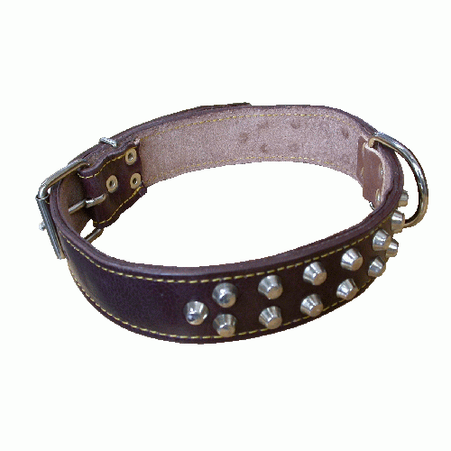 collar de perro de cuero forrado con 2 filas de tachuelas ancho 40 mm largo 70 cm
