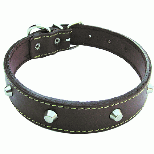 dog collar in leather lined with studs width 25 mm length 56 cm collars