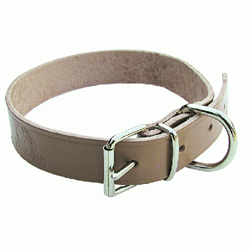 Hundefutterhalsband aus ungefÃ¼ttertem Leder mit einer Breite von 30 mm und einer LÃ¤nge von 55 cm